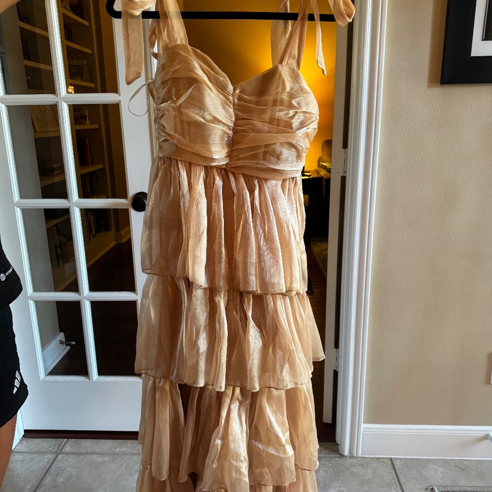 maxi special occasion dress